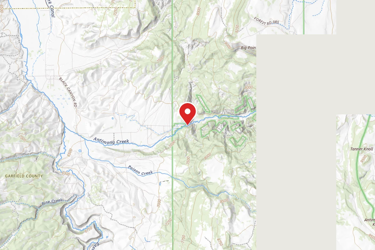 Antimony Creek Dispersed