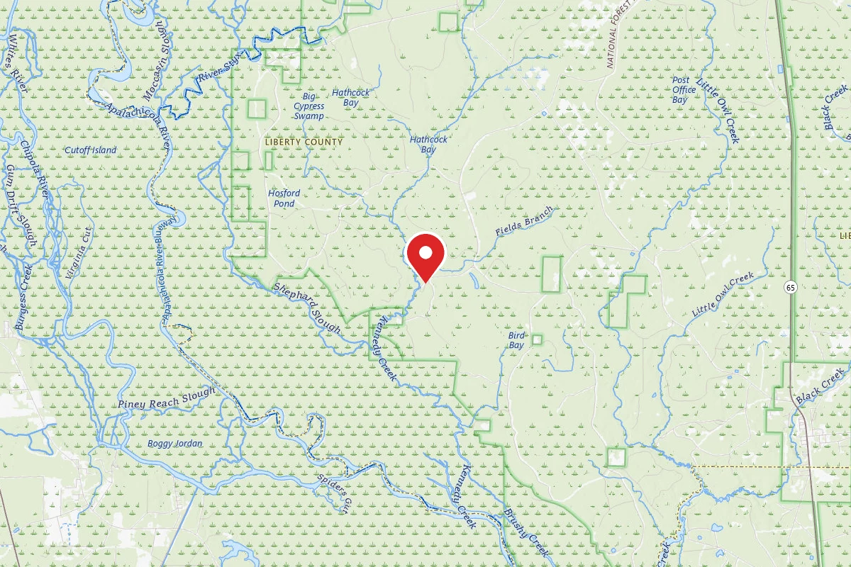 Cotton Landing Hunt Camp