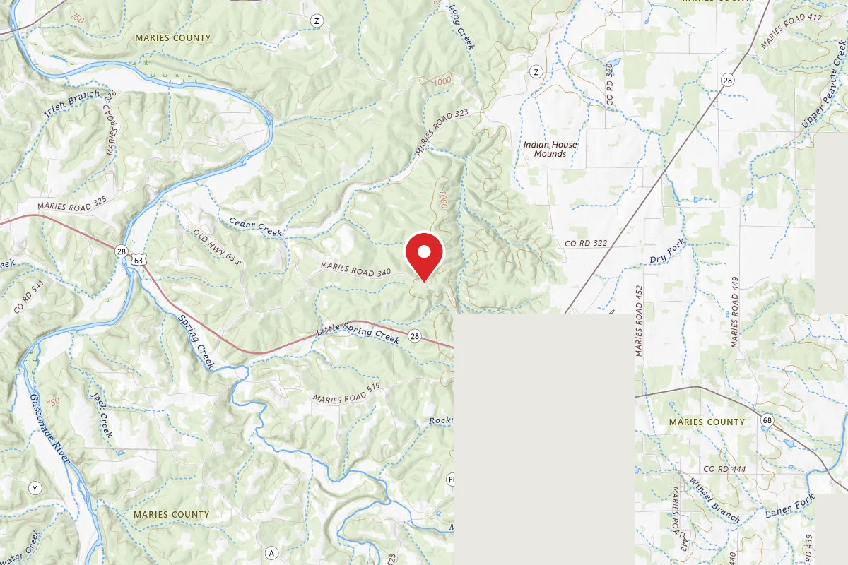Spring Creek Gap Conservation Area Dispersed Camping