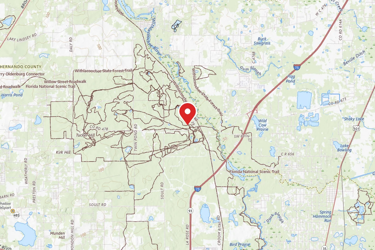 Withlacoochee Primitive Camp Zone