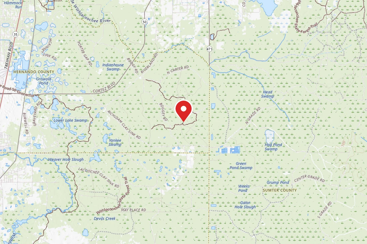 Withlacoochee Primitive Camp Zone