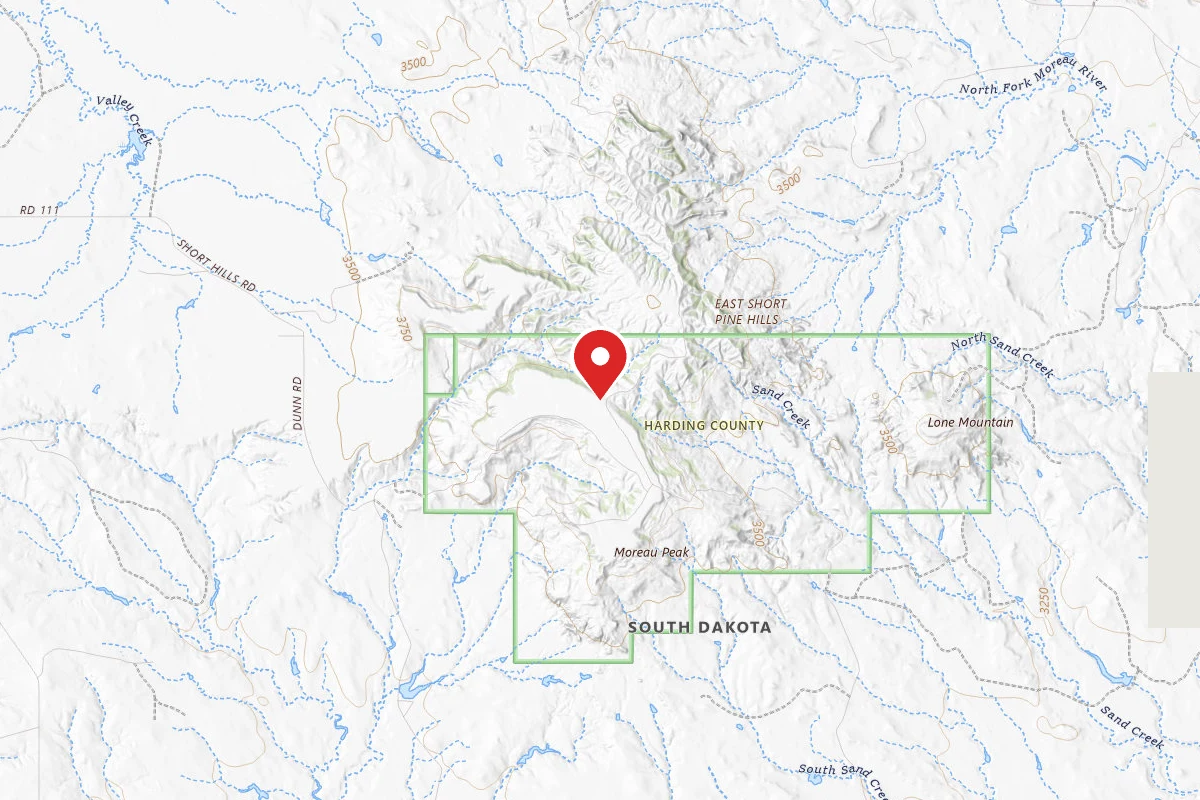 Ward Gulch-3111 Rd Junction