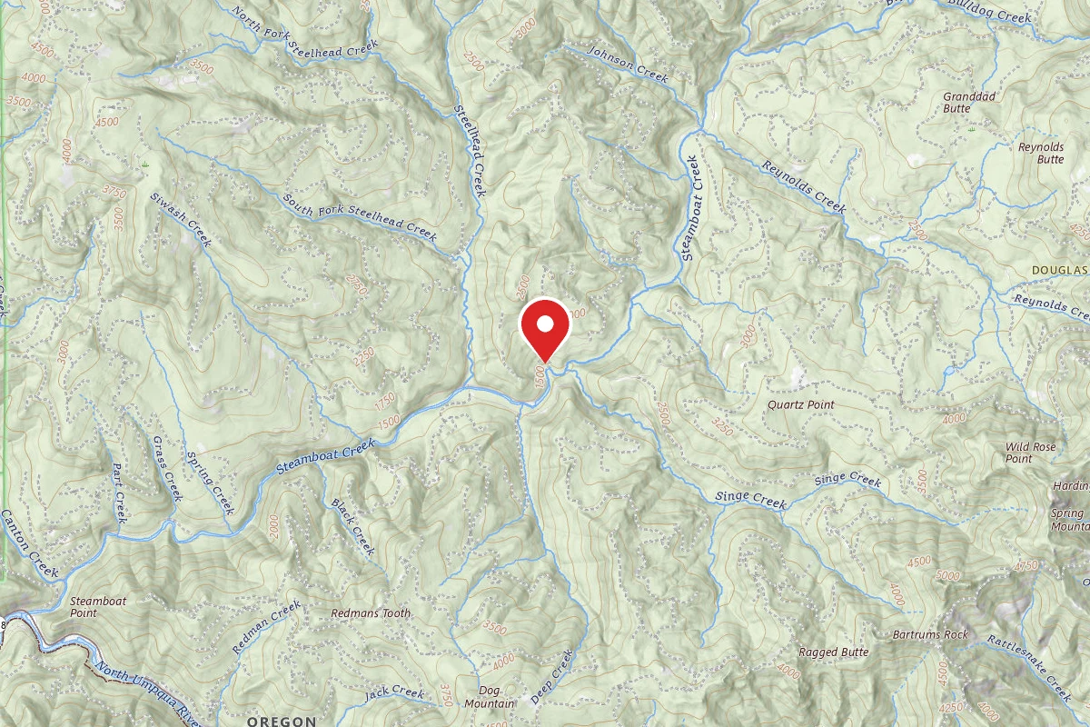 Steamboat Forest Camp