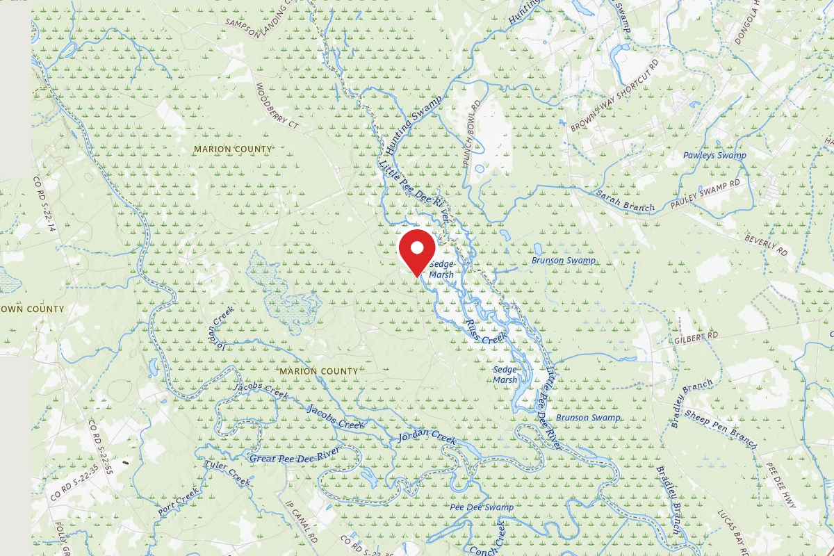 Dispersed Site near 33.7404, -79.2260