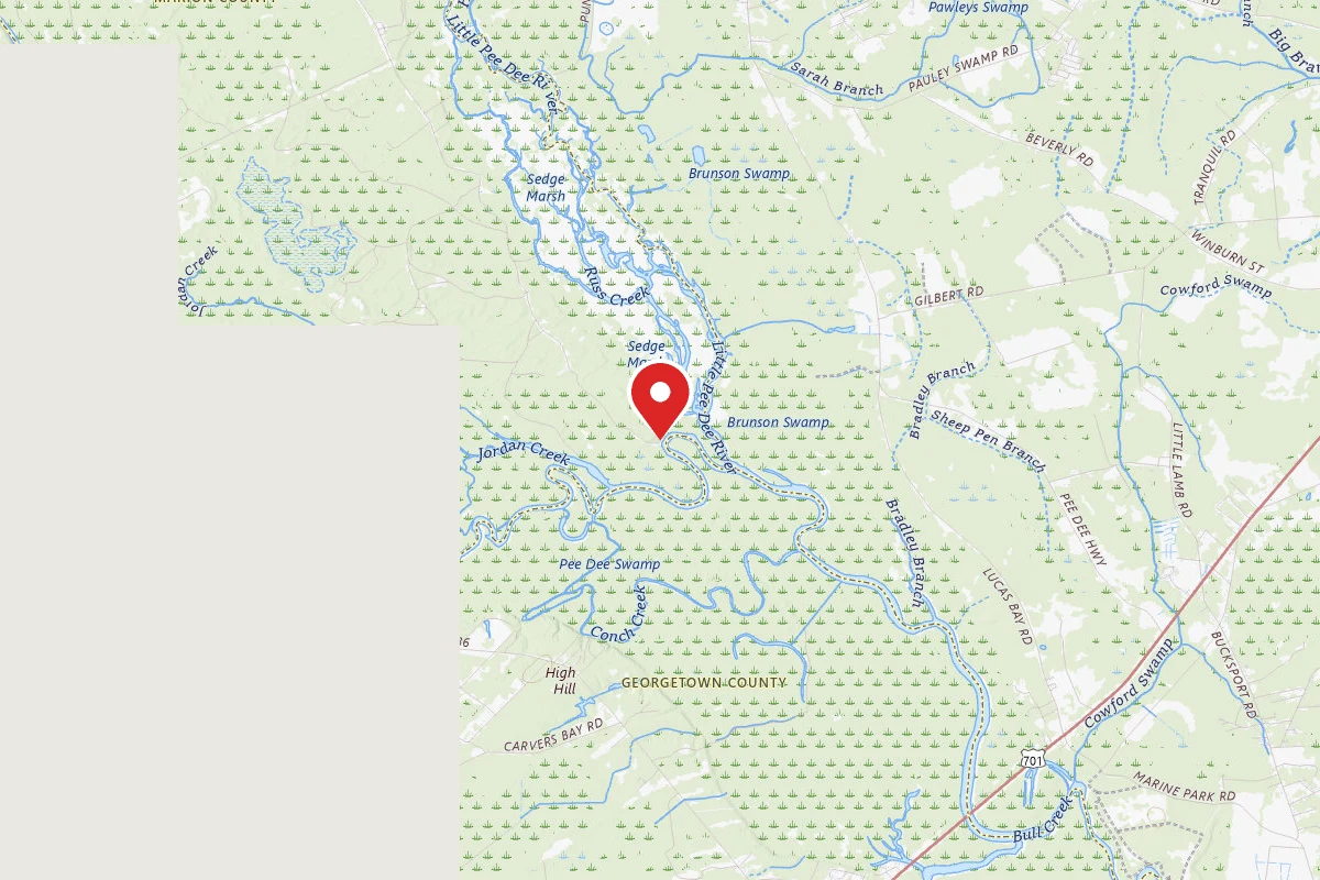 Dispersed Site near 33.7094, -79.2022