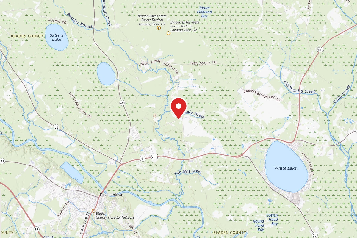 Dispersed Site near 34.6662, -78.5598