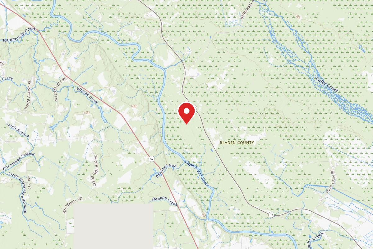 Dispersed Site near 34.5244, -78.4241