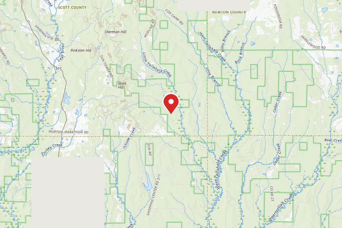 Tallahala WMA Dispersed Camping