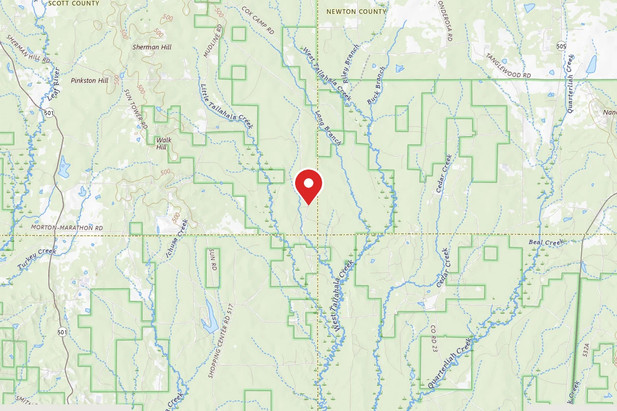 Tallahala WMA Dispersed Camping