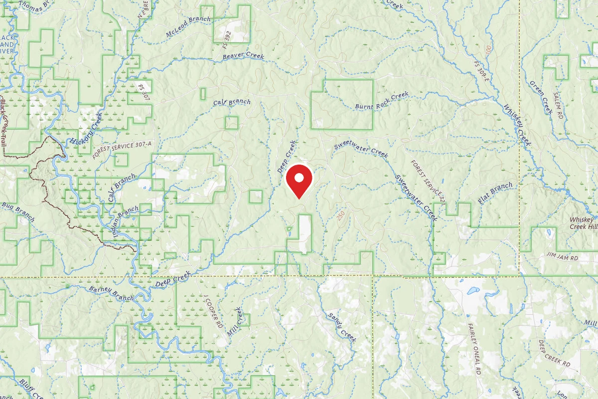 Leaf River WMA Dispersed Camping