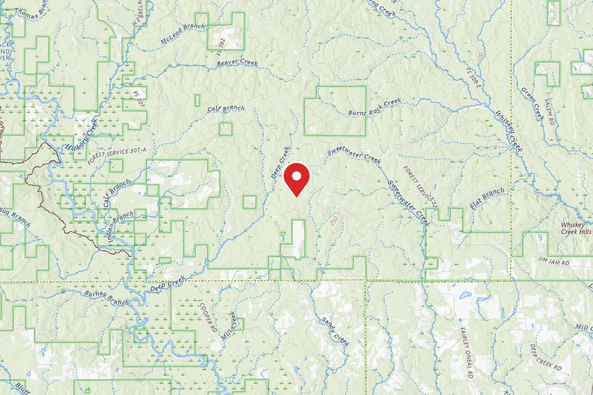 Leaf River WMA Dispersed Camping