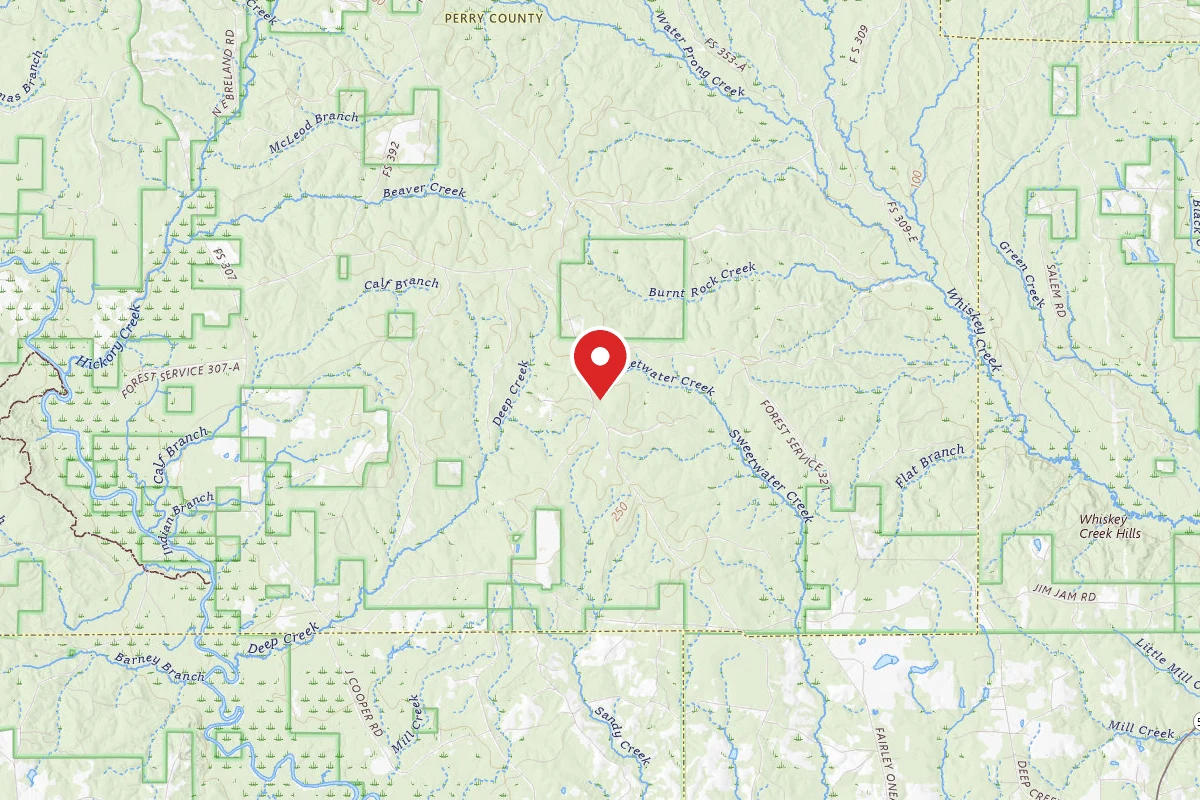 Leaf River WMA Dispersed Camping