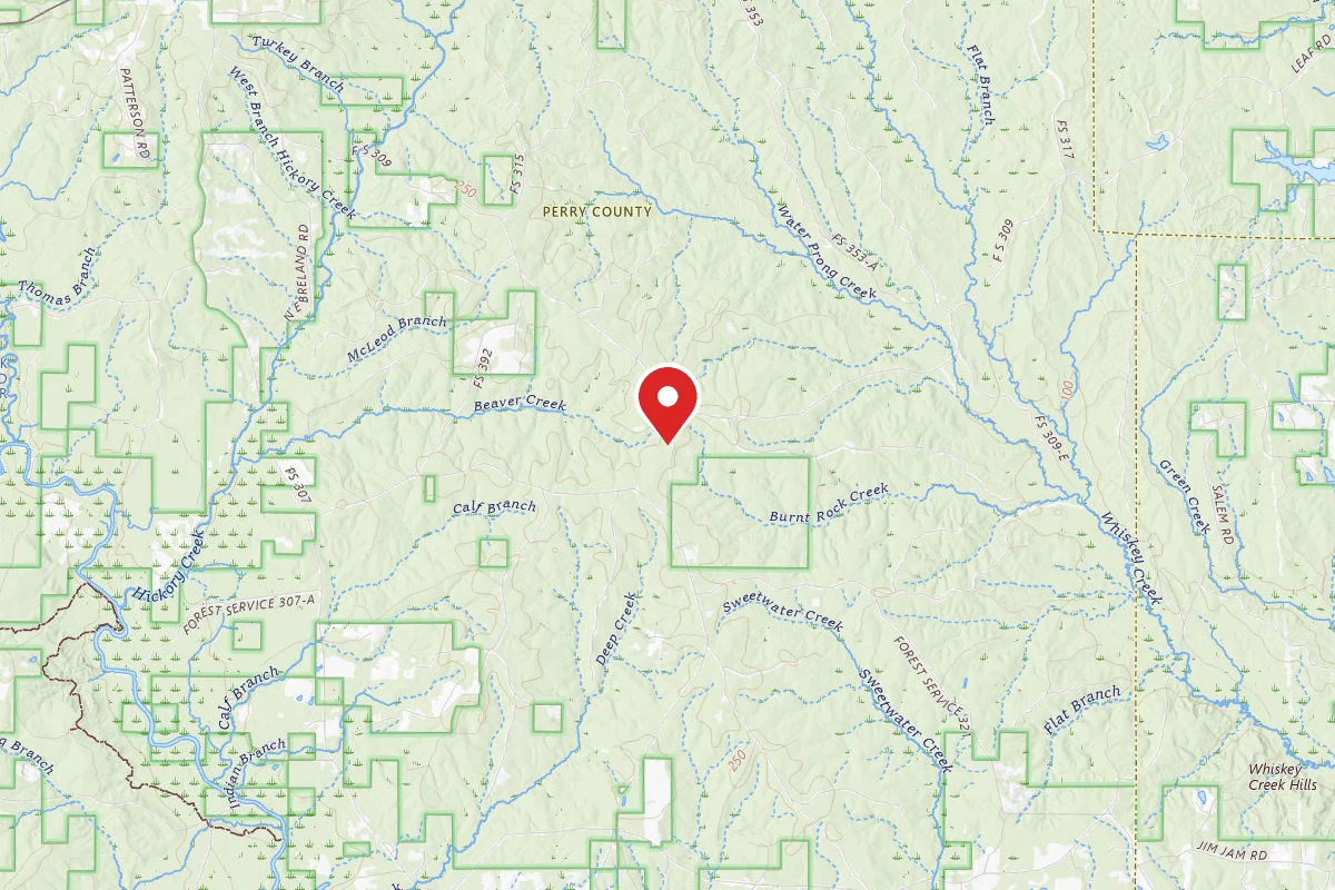 Leaf River WMA Dispersed Camping