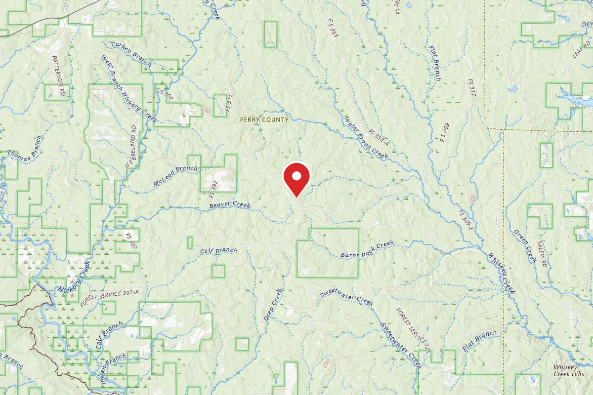 Leaf River WMA Dispersed Camping