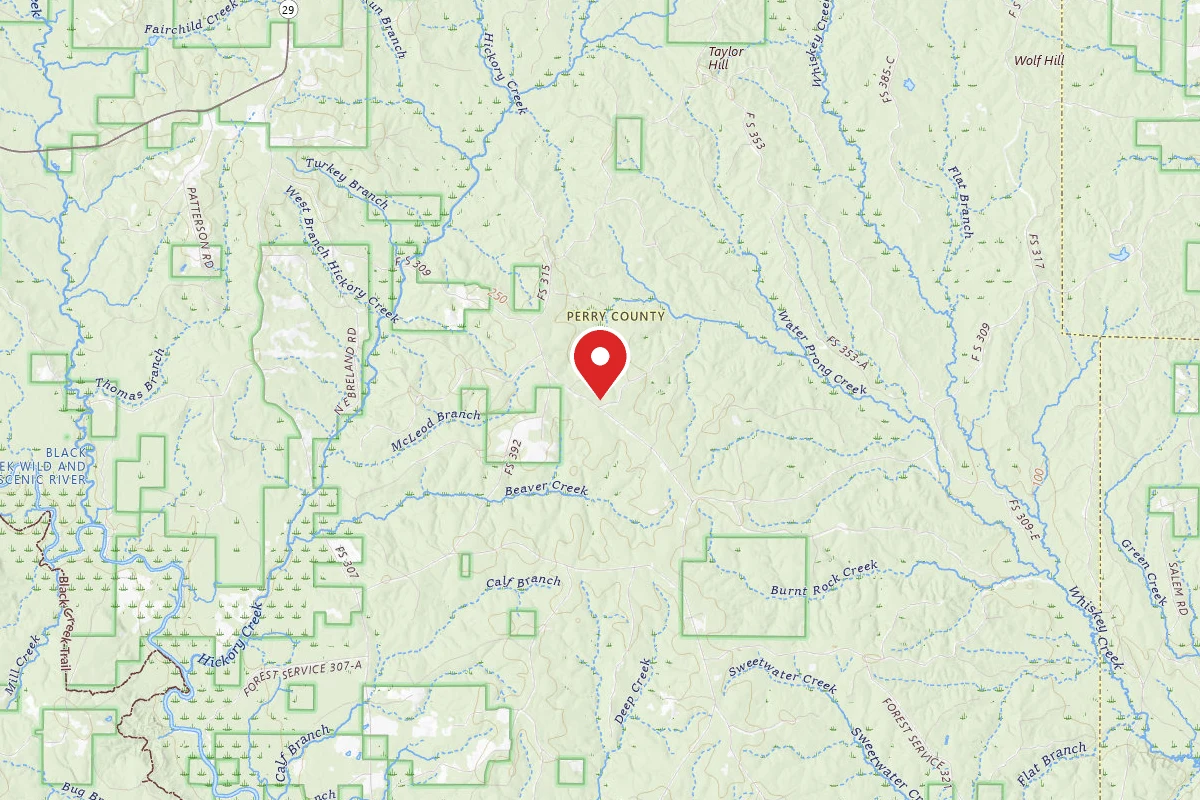 Leaf River WMA Dispersed Camping