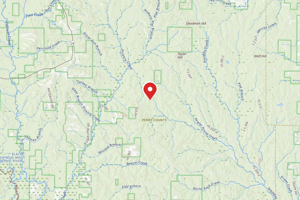 Leaf River WMA Dispersed Camping