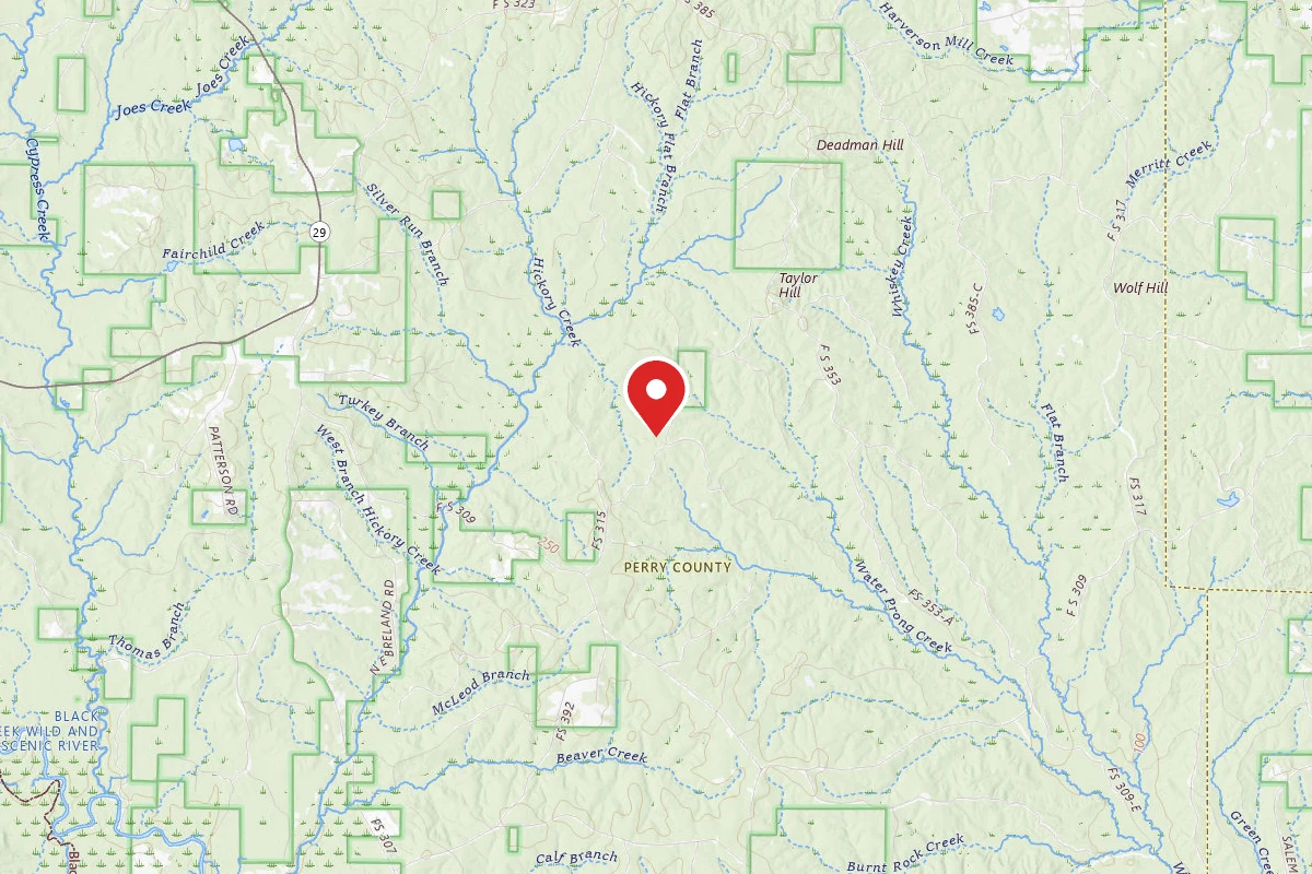 Leaf River WMA Dispersed Camping