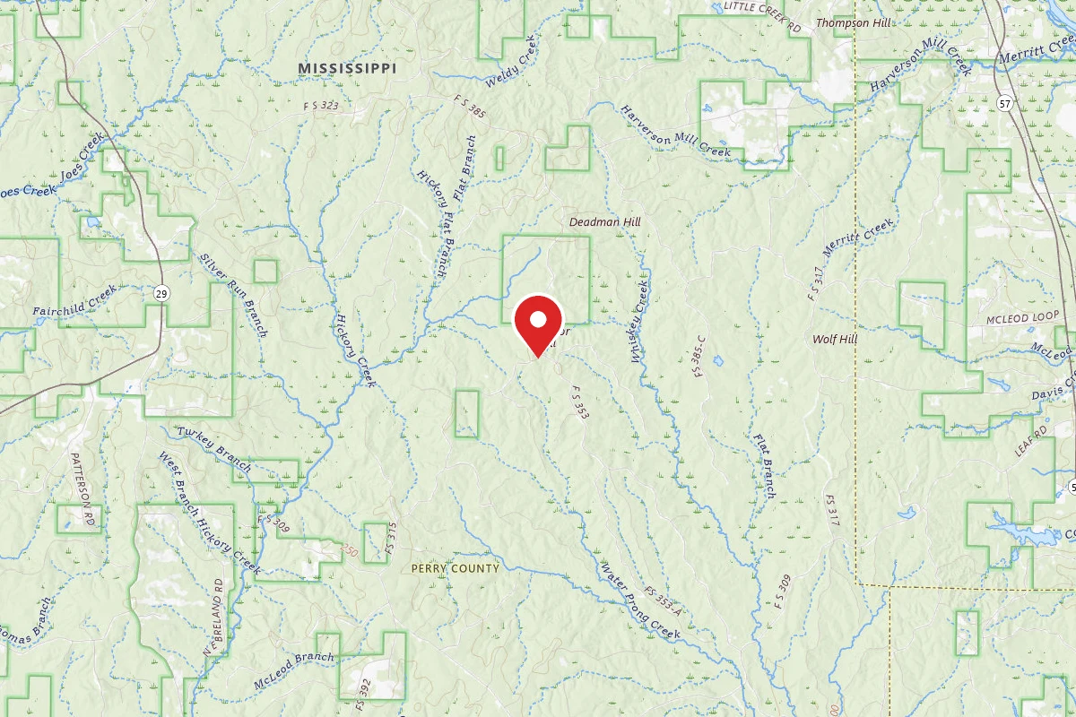 Leaf River WMA Dispersed Camping