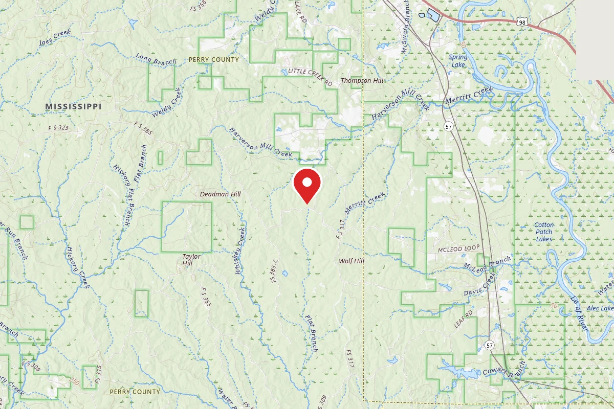 Leaf River WMA Dispersed Camping