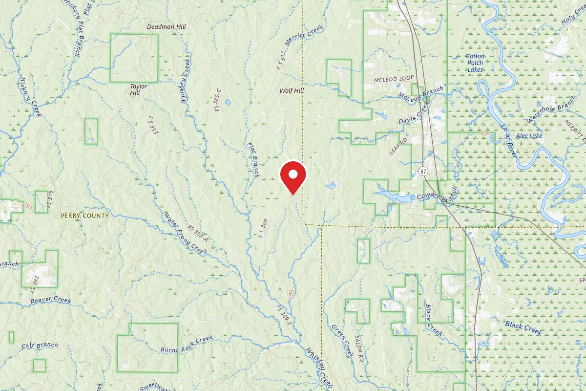Leaf River WMA Dispersed Camping