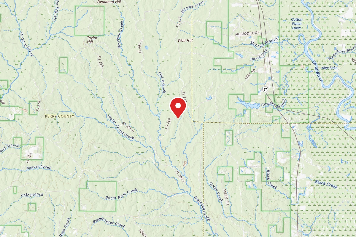 Leaf River WMA Dispersed Camping