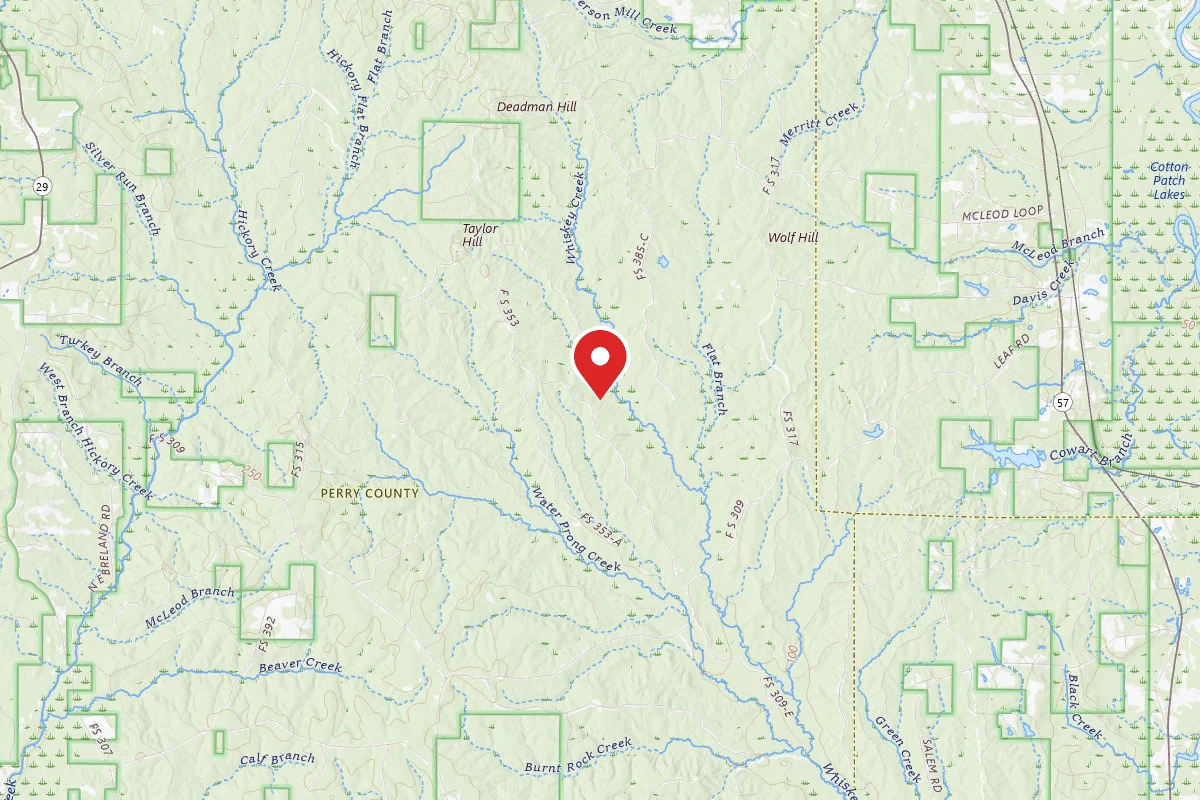 Leaf River WMA Dispersed Camping