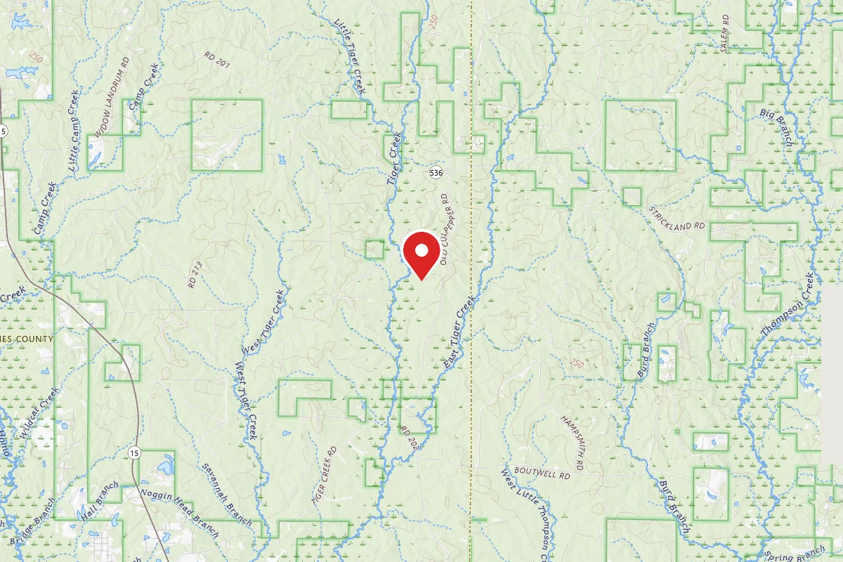 Chickasawhay WMA Dispersed Camping