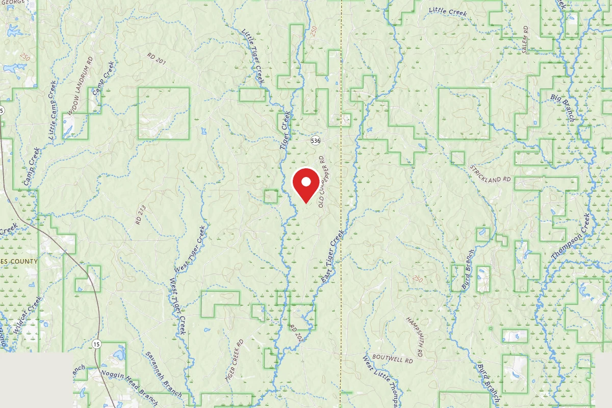 Chickasawhay WMA Dispersed Camping