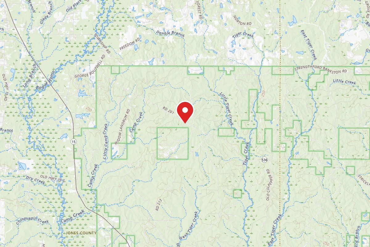 Chickasawhay WMA Dispersed Camping