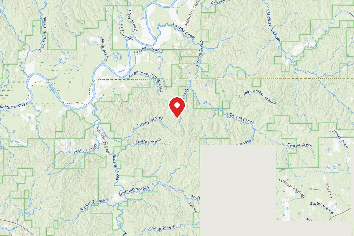 Caston Creek WMA Dispersed Camping