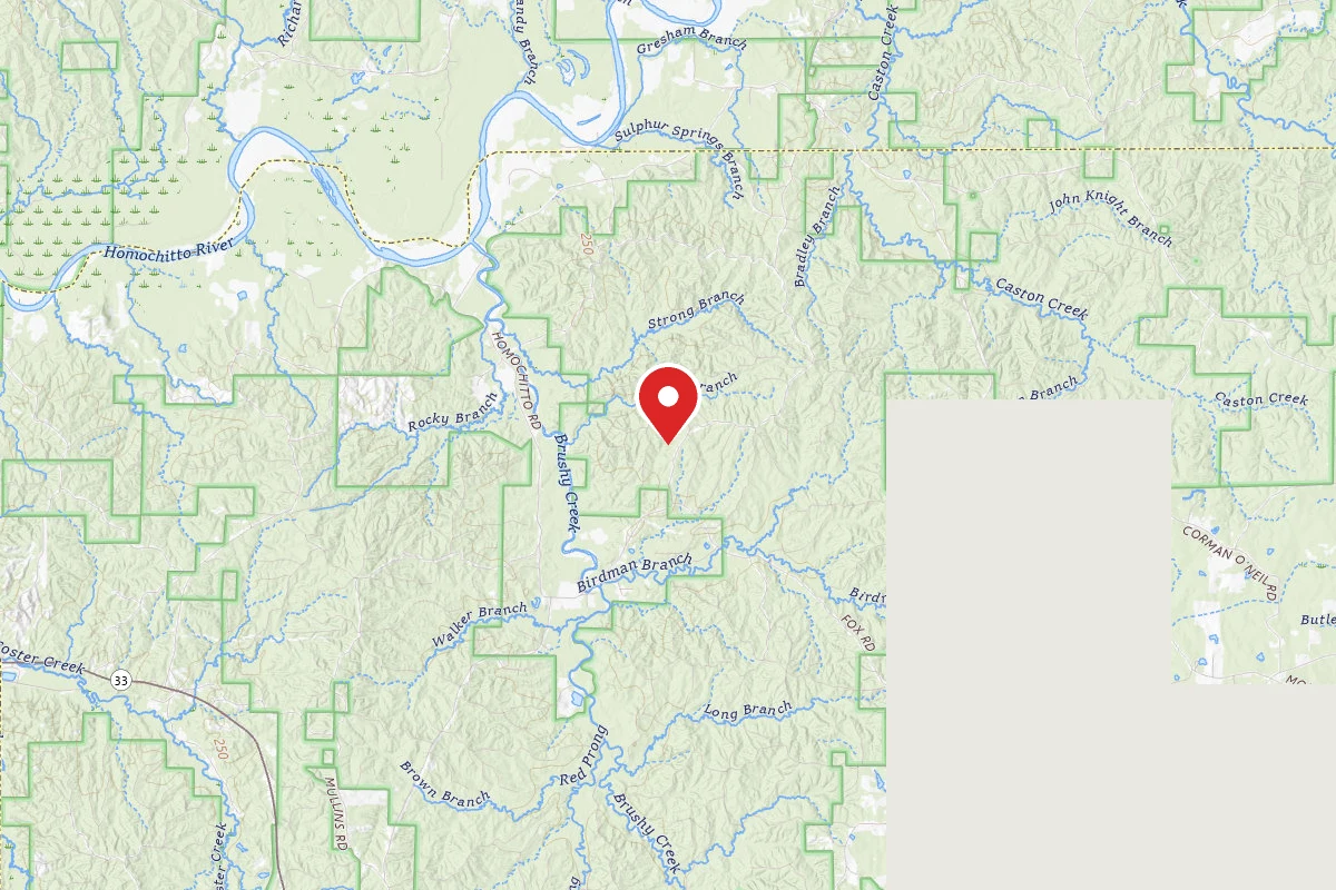 Caston Creek WMA Dispersed Camping