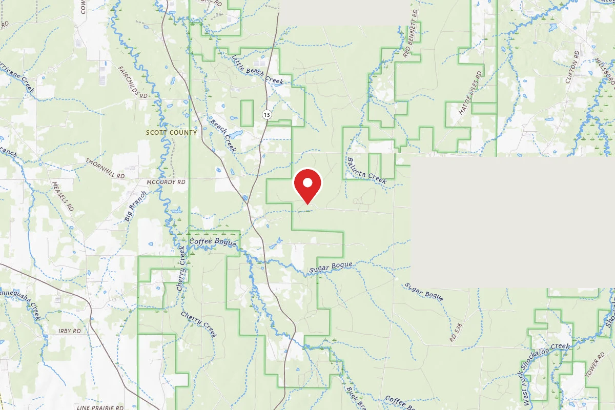 Bienville WMA Dispersed Camping