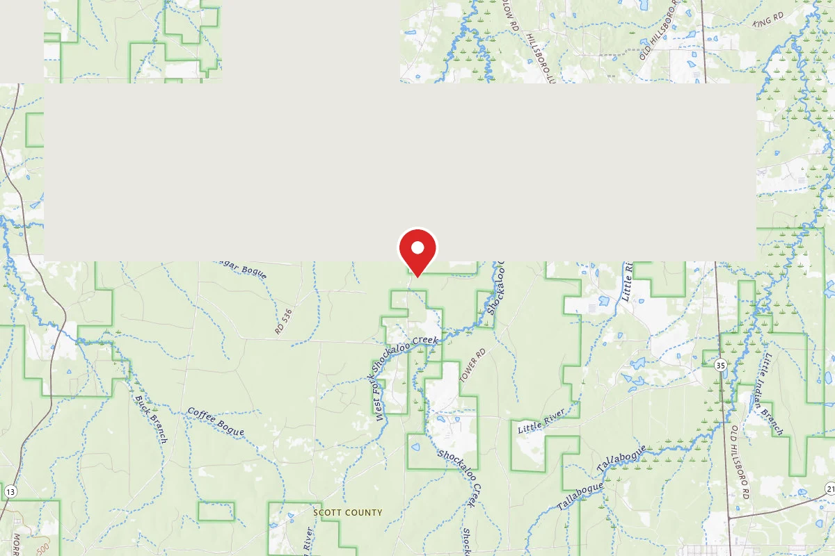 Bienville WMA Dispersed Camping