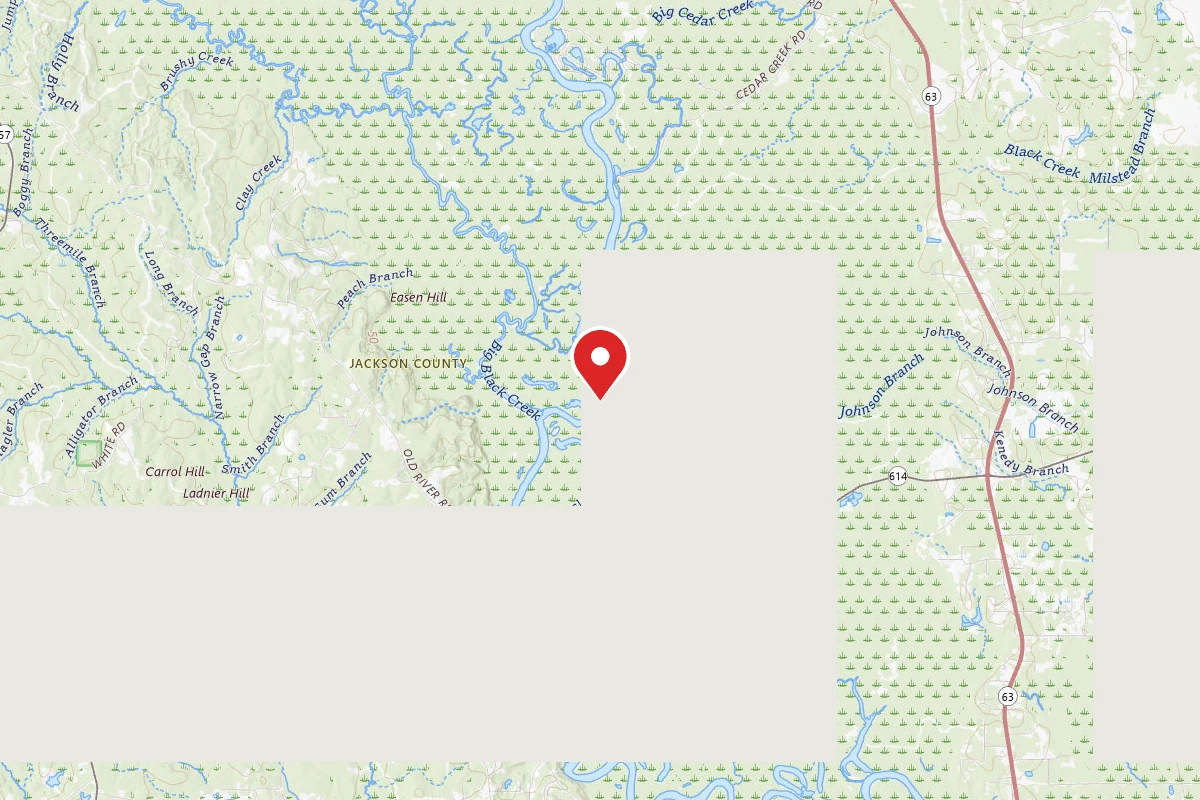 Pascagoula WMA Dispersed Camping