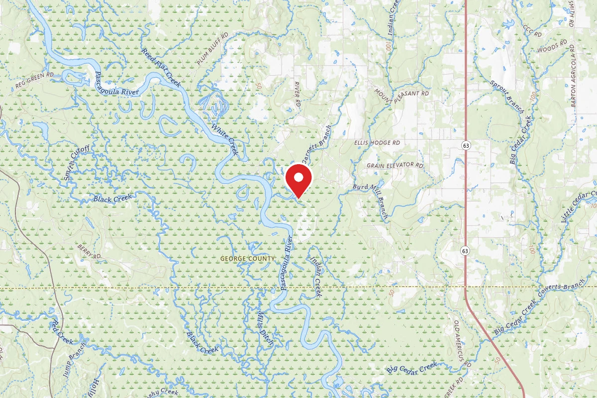 Pascagoula WMA Dispersed Camping