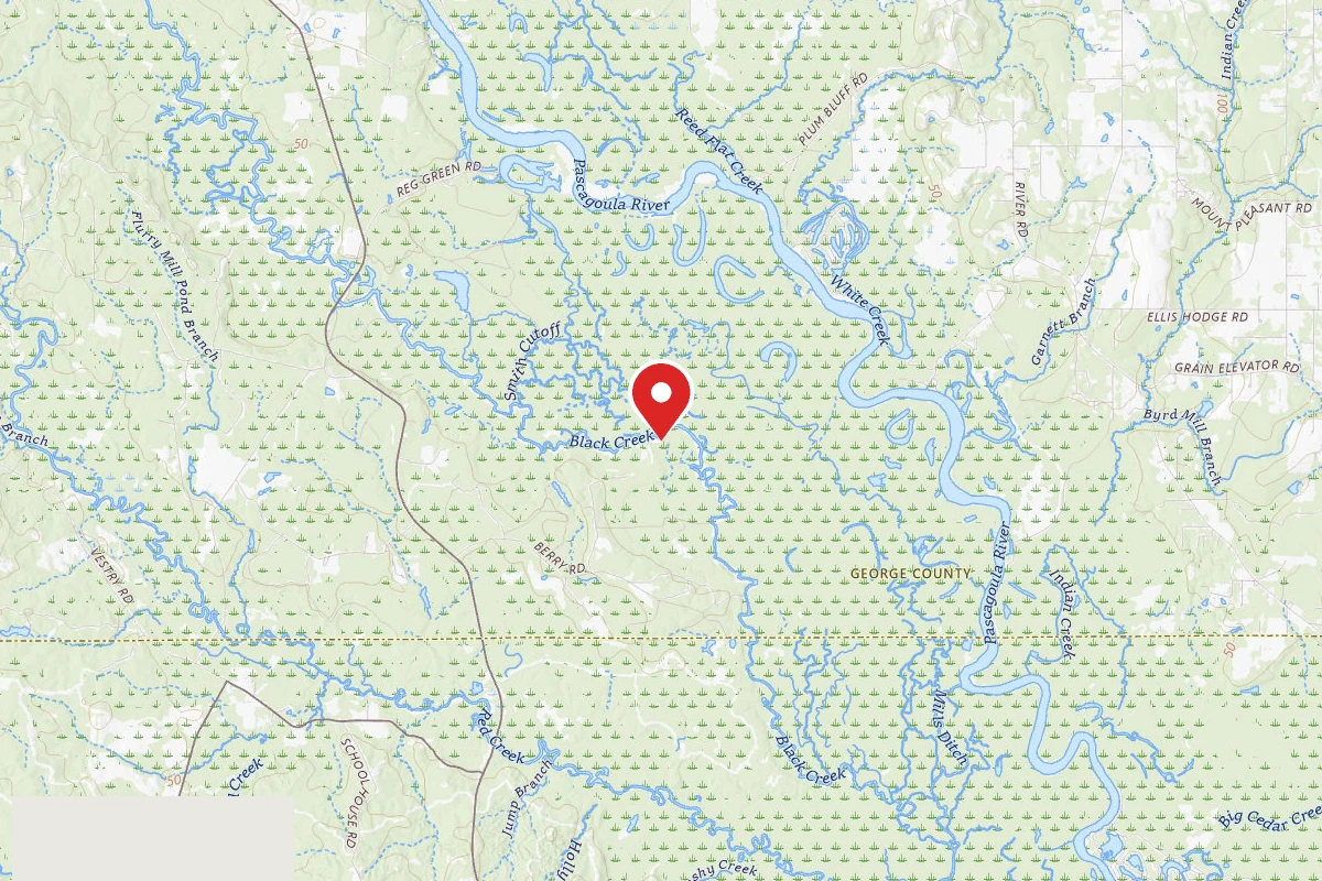 Pascagoula WMA Dispersed Camping
