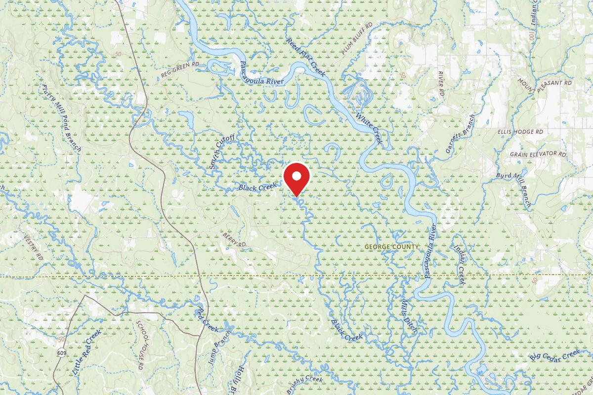 Pascagoula WMA Dispersed Camping