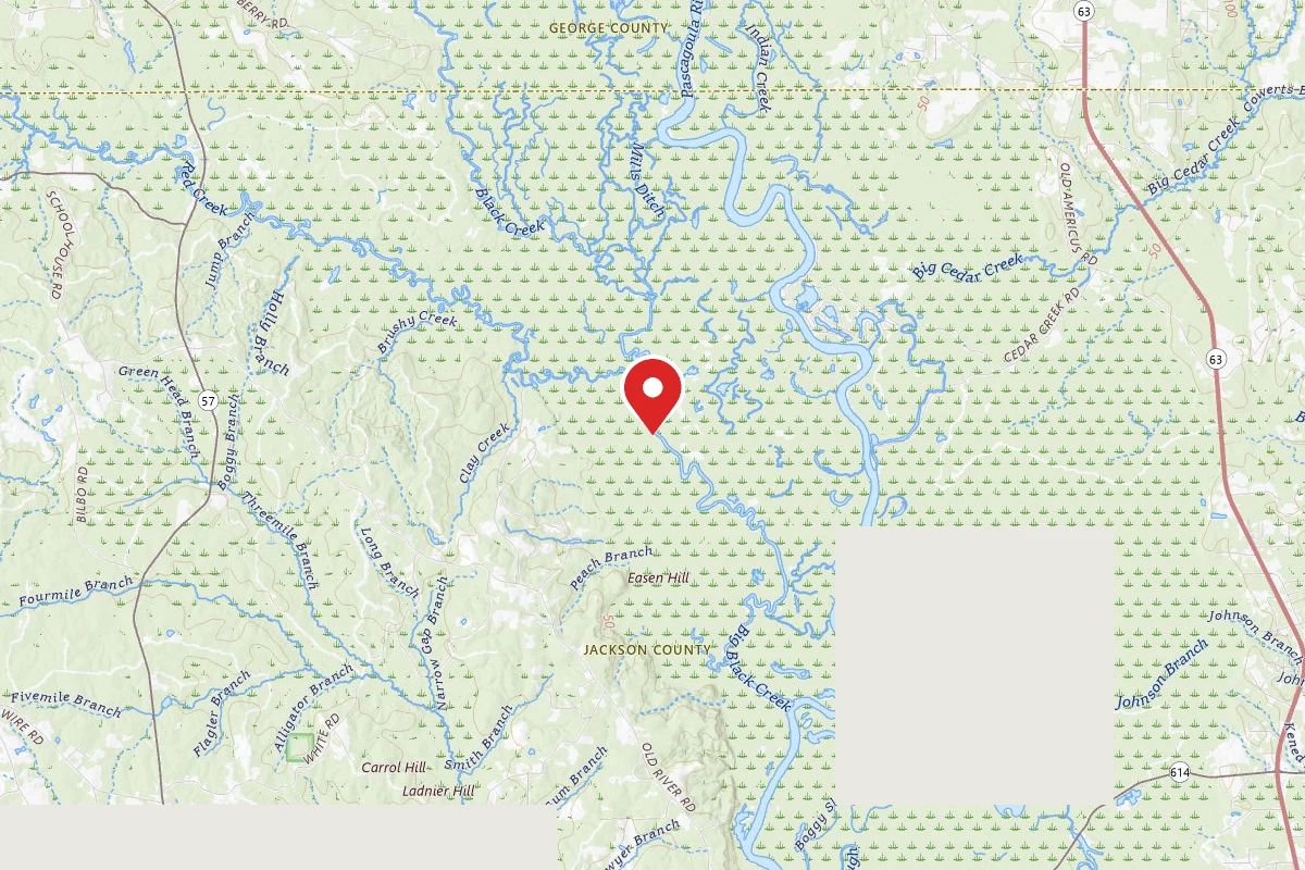 Pascagoula WMA Dispersed Camping
