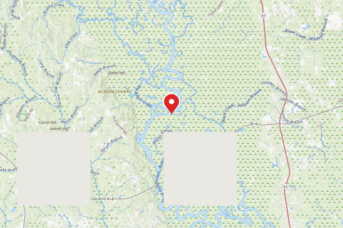 Pascagoula WMA Dispersed Camping
