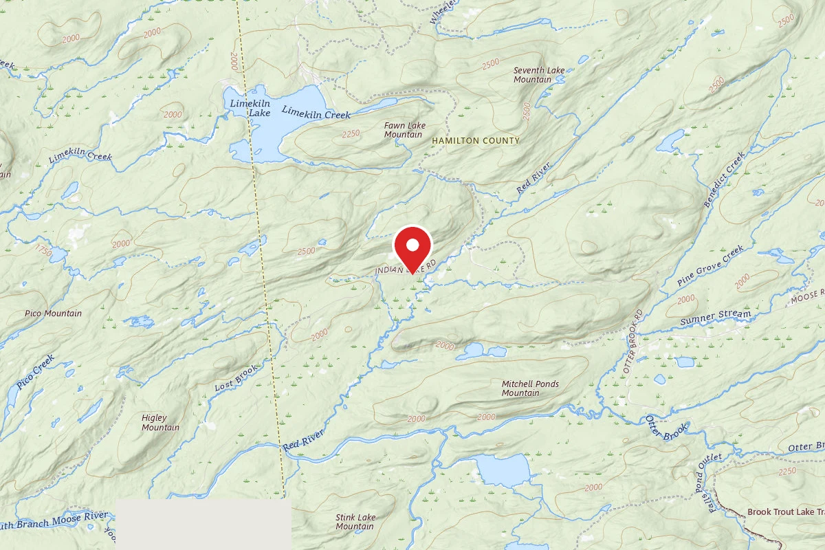 Moose River Plains Campsite 119A