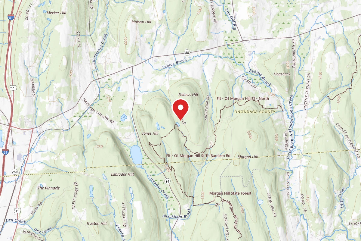 Spruce Pond Site #10