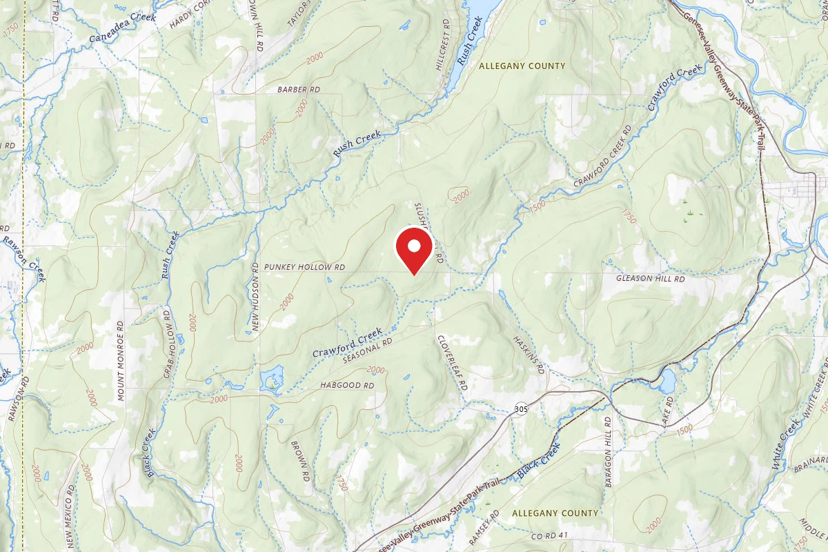 Dispersed Site near 42.3259, -78.2118