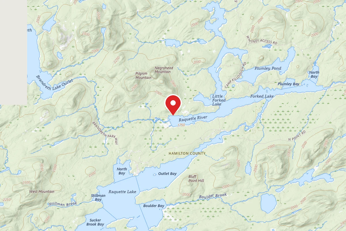 Forked Lake-West End Campsite