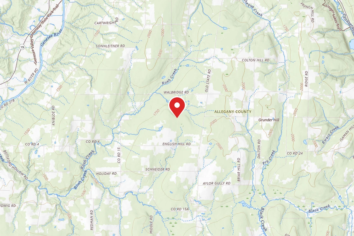 Dispersed Site near 42.4641, -77.9817