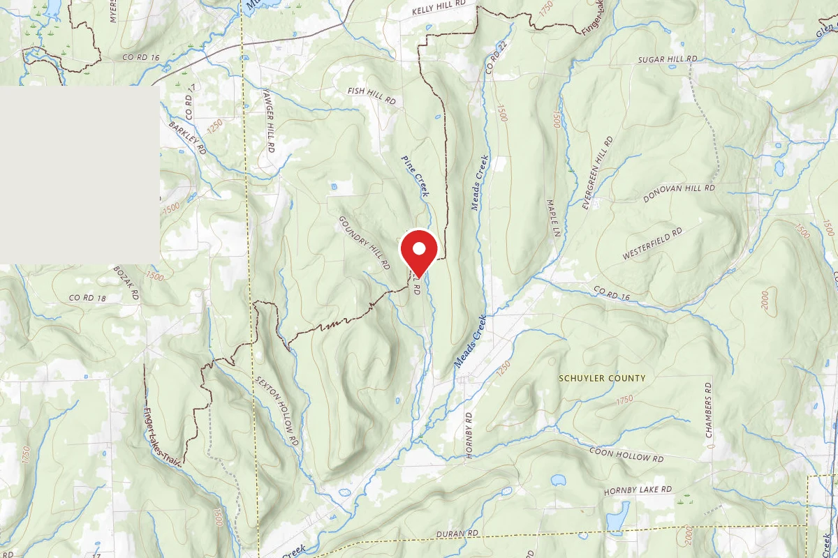 Switzer Hill Road Campsite #1
