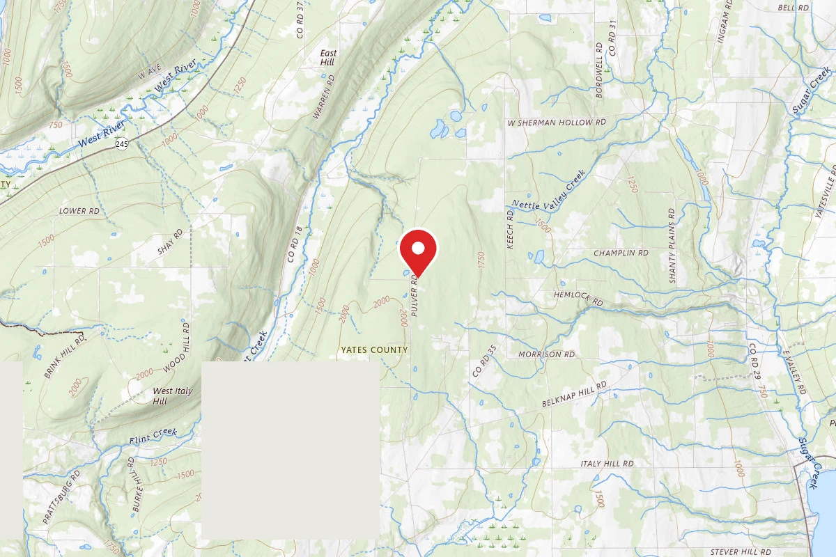 Pulver Road (North) Campsite #1