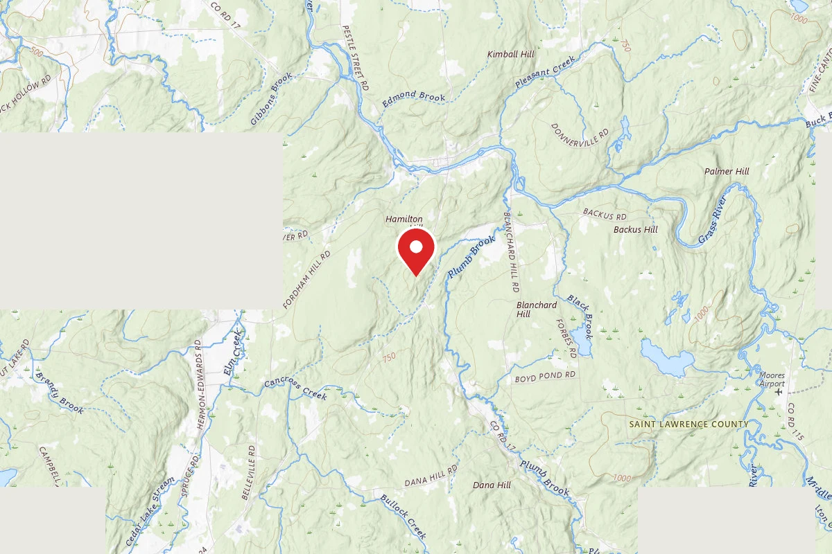 Loop Access Road Campsite