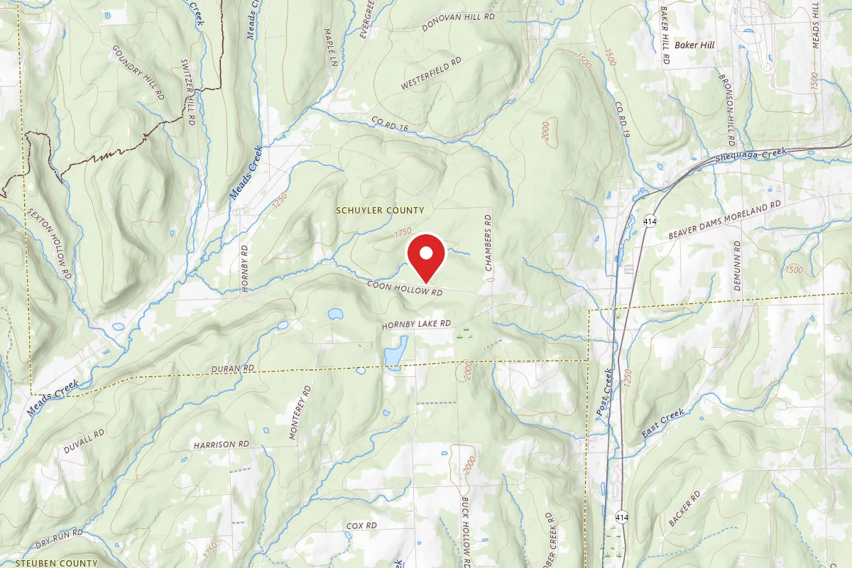 Coon Hollow Rd Campsite