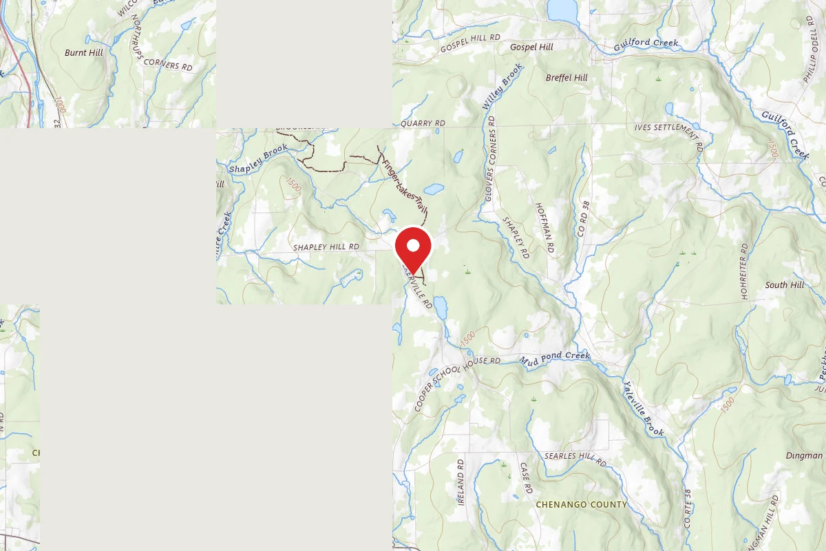 Willey Brook State Forest Primitive Campsite