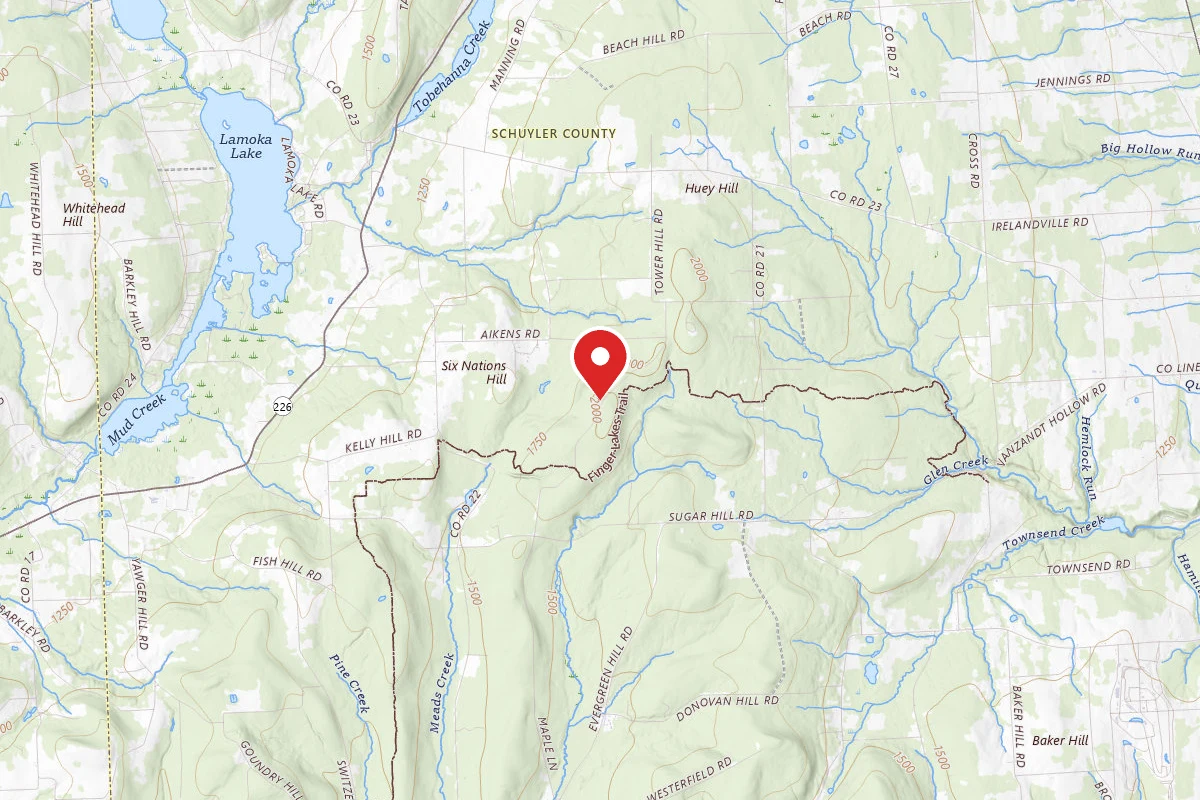 33 Maple Lane Campsite